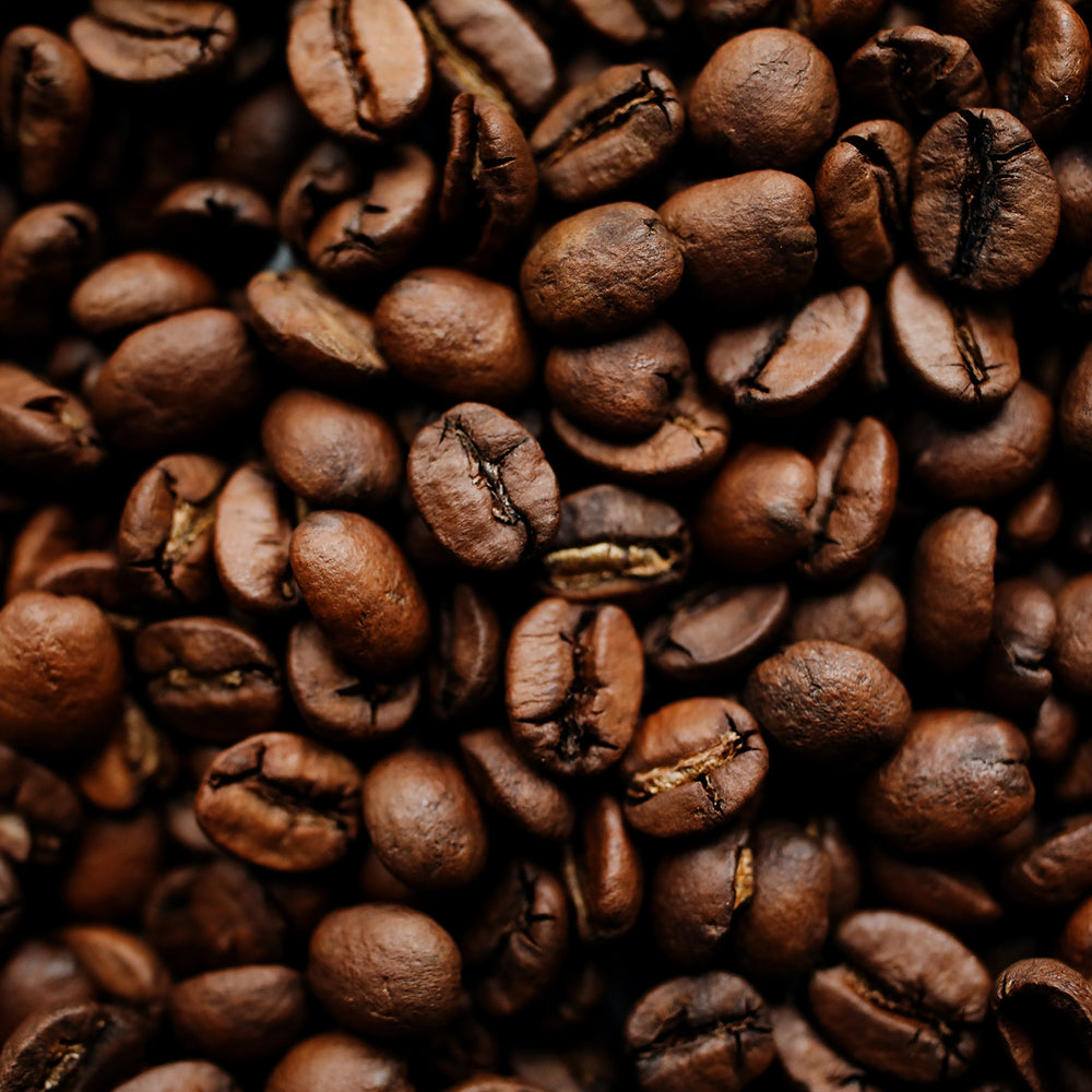 The World of Coffee Beans